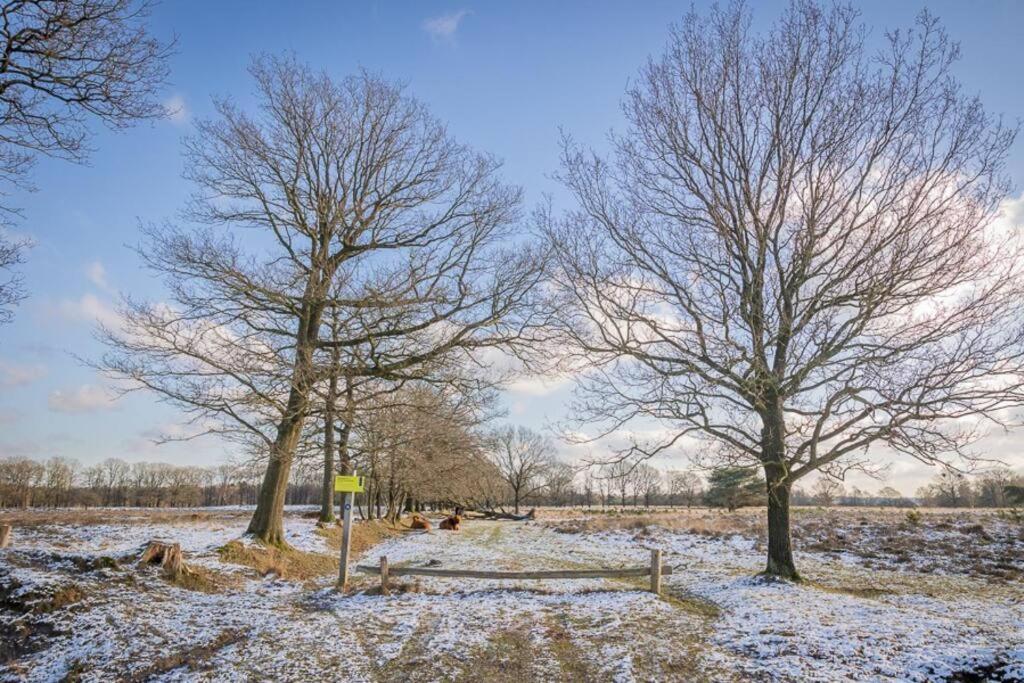 Leva - Logeren In Drenthe Villa Doldersum Eksteriør bilde